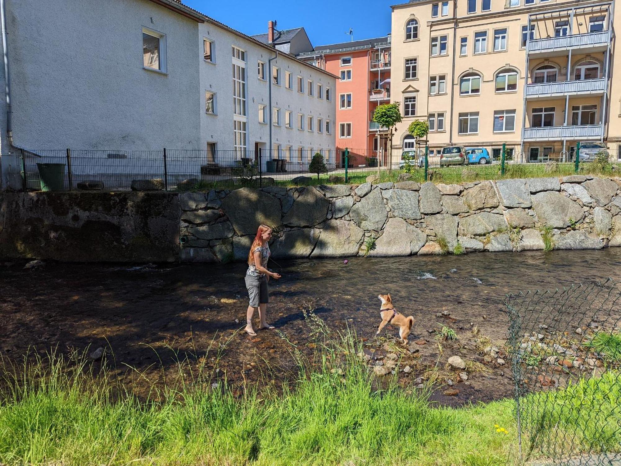 Hw3 - Urlaubsmagie - Helle, Grosse Wohnung Mit Pool Sebnitz Exterior foto